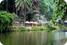 congo-republic-tourist-visa