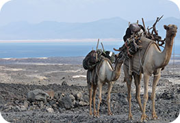 djibouti-visa-image