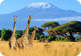 kenya-etourist-visa