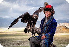 mongolia-visa-image