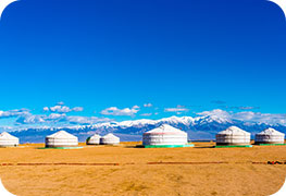 mongolia-business-visa