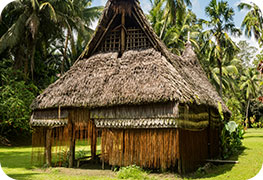 papua-new-guinea-tourist-visa