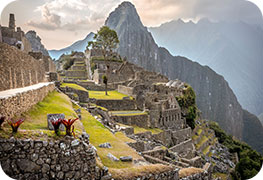 peru-business-visa