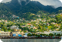 saint-vincent-and-the-grenadines-visa-image