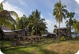 solomon-islands-visa-image