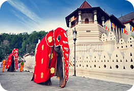 sri-lanka-business-visa