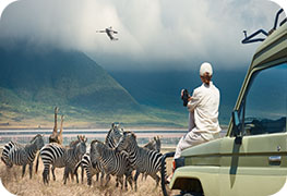 tanzania-visa-image