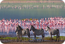 tanzania-etourist-visa