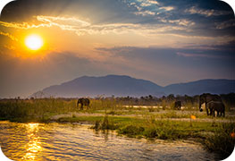 zambia-tourist-visa